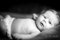Wayland Brooks Willis