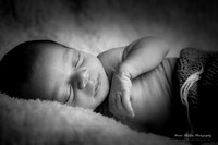 191006_Brian Phillips_Albert_1022