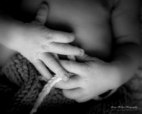 191006_Brian Phillips_Albert_1032